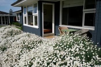 Beeches By The Sea Villa Apollo Bay Exterior foto